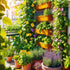 10 Best Plants for Small Gardens: Tips to Maximize Your Space
