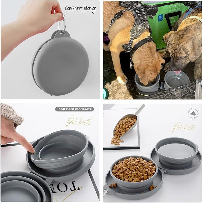 Top 12 Affordable Pet Essentials Every Dog Owner Needs – Shop Best-Selling Products Now!