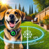 Top 5 GPS Dog Fences Compared: Find the Best Wireless Pet Containment System for Your Furry Friend