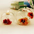 A Touch of Elegance: Round Hollow Crystal Glass Hanging Candle Holder Review