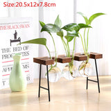 Bonsai Decor flower vase Plant Transparent Vase Wooden Frame vase decoratio Glass Tabletop Plant flower shaped bowl BATACHARLY