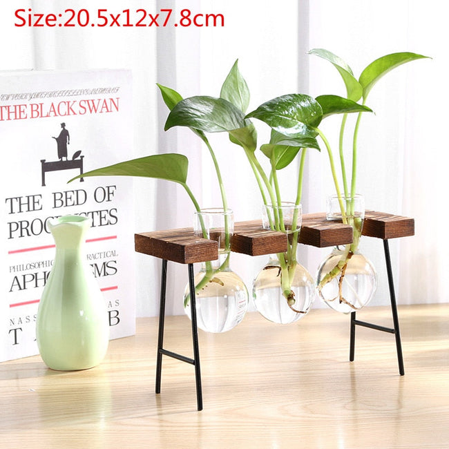 Bonsai Decor flower vase Plant Transparent Vase Wooden Frame vase decoratio Glass Tabletop Plant flower shaped bowl BATACHARLY