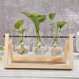 Bonsai Decor flower vase Plant Transparent Vase Wooden Frame vase decoratio Glass Tabletop Plant flower shaped bowl BATACHARLY