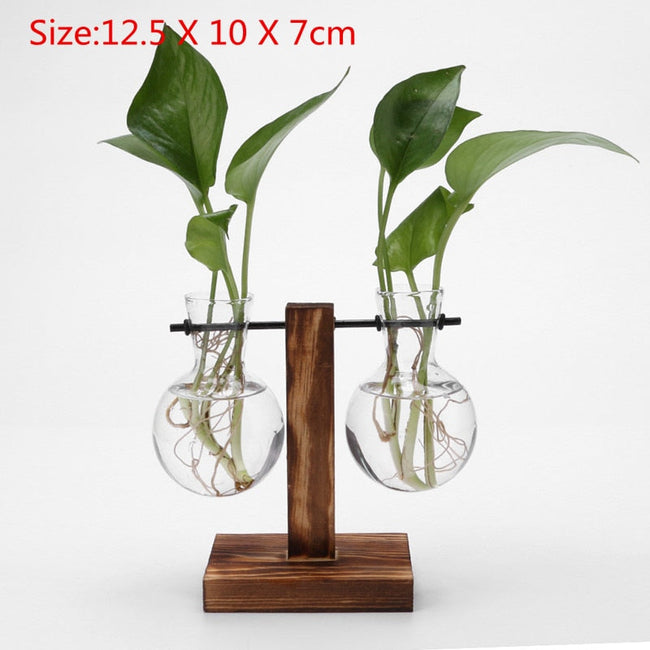 Bonsai Decor flower vase Plant Transparent Vase Wooden Frame vase decoratio Glass Tabletop Plant flower shaped bowl BATACHARLY