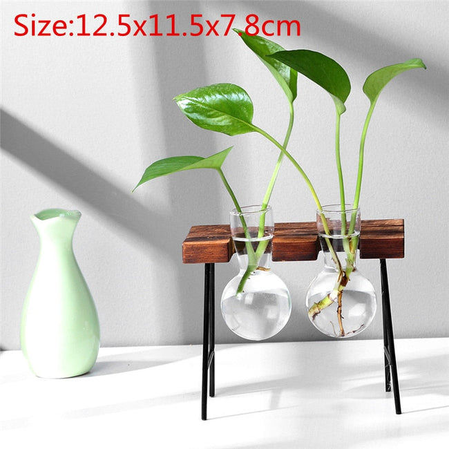 Bonsai Decor flower vase Plant Transparent Vase Wooden Frame vase decoratio Glass Tabletop Plant flower shaped bowl BATACHARLY