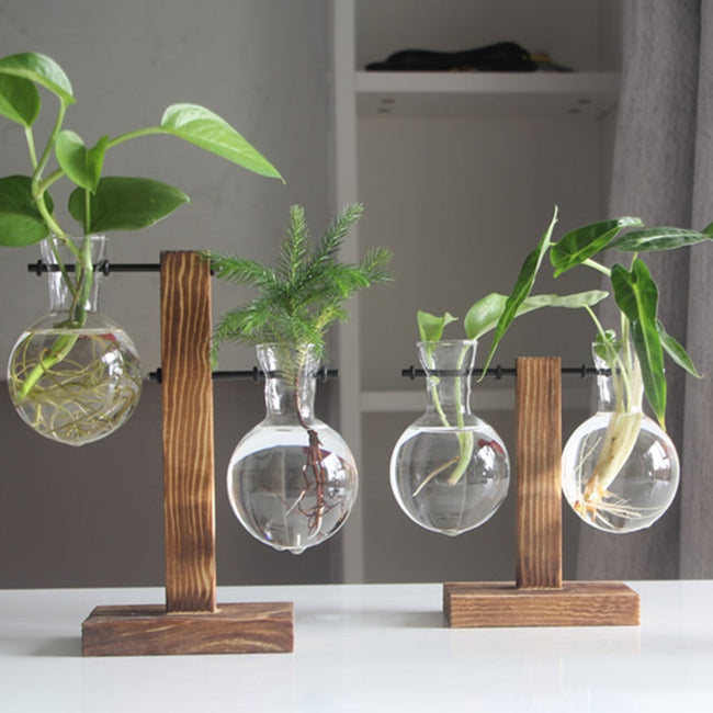 Bonsai Decor flower vase Plant Transparent Vase Wooden Frame vase decoratio Glass Tabletop Plant flower shaped bowl BATACHARLY