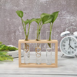 Bonsai Decor flower vase Plant Transparent Vase Wooden Frame vase decoratio Glass Tabletop Plant flower shaped bowl BATACHARLY