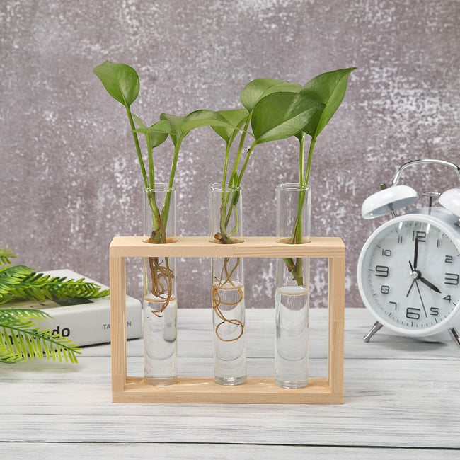 Bonsai Decor flower vase Plant Transparent Vase Wooden Frame vase decoratio Glass Tabletop Plant flower shaped bowl BATACHARLY