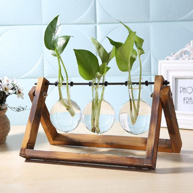 Bonsai Decor flower vase Plant Transparent Vase Wooden Frame vase decoratio Glass Tabletop Plant flower shaped bowl BATACHARLY