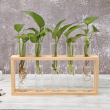 Bonsai Decor flower vase Plant Transparent Vase Wooden Frame vase decoratio Glass Tabletop Plant flower shaped bowl BATACHARLY