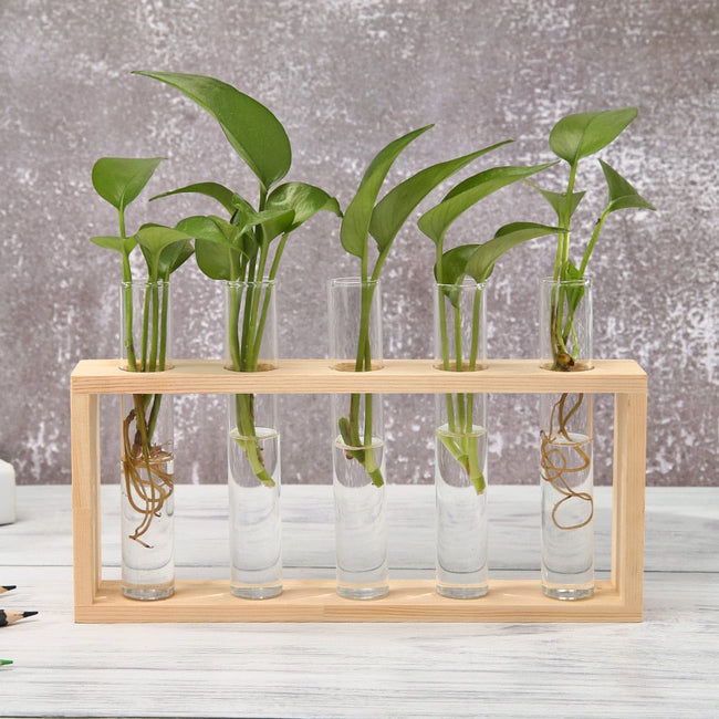 Bonsai Decor flower vase Plant Transparent Vase Wooden Frame vase decoratio Glass Tabletop Plant flower shaped bowl BATACHARLY