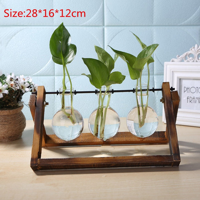 Bonsai Decor flower vase Plant Transparent Vase Wooden Frame vase decoratio Glass Tabletop Plant flower shaped bowl BATACHARLY