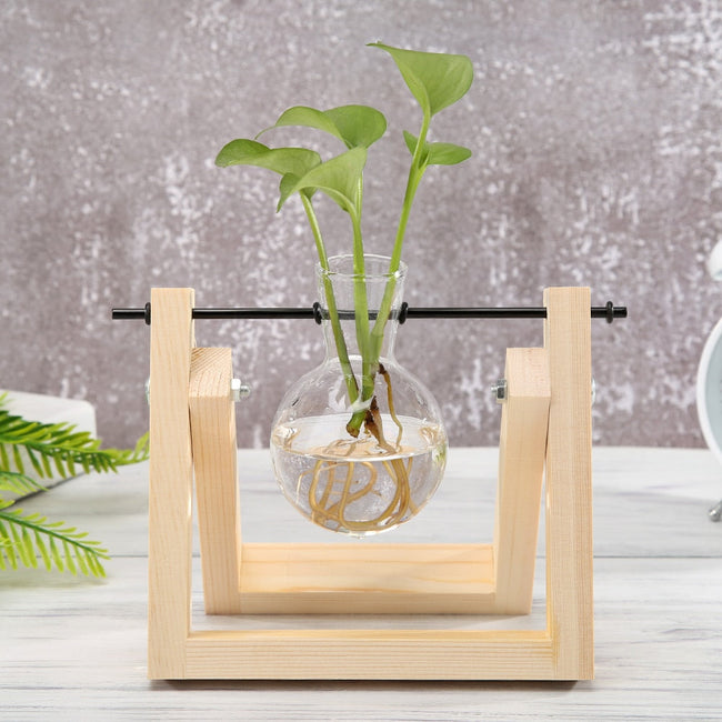 Bonsai Decor flower vase Plant Transparent Vase Wooden Frame vase decoratio Glass Tabletop Plant flower shaped bowl BATACHARLY