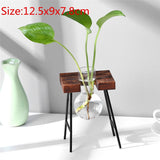 Bonsai Decor flower vase Plant Transparent Vase Wooden Frame vase decoratio Glass Tabletop Plant flower shaped bowl BATACHARLY