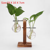 Bonsai Decor flower vase Plant Transparent Vase Wooden Frame vase decoratio Glass Tabletop Plant flower shaped bowl BATACHARLY