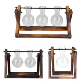 Bonsai Decor flower vase Plant Transparent Vase Wooden Frame vase decoratio Glass Tabletop Plant flower shaped bowl BATACHARLY
