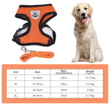 Breathable Small Dog Harness And Leash Nylon Safety Mesh Chest Strap Collar For Kitten Cat Chihuahua Pug Bulldog Cats Vest BATACHARLY