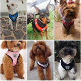 Breathable Small Dog Harness And Leash Nylon Safety Mesh Chest Strap Collar For Kitten Cat Chihuahua Pug Bulldog Cats Vest BATACHARLY