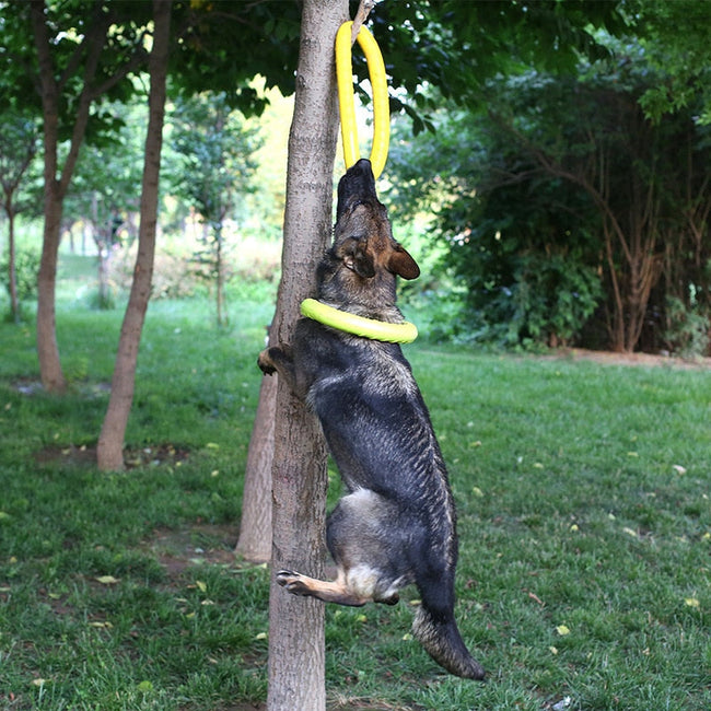 Dog Toys Pet Flying Discs EVA Dog Training Ring Puller Resistant Toys For Dogs Floating Puppy Bite Ring Toy Interactive BATACHARLY