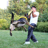 Dog Toys Pet Flying Discs EVA Dog Training Ring Puller Resistant Toys For Dogs Floating Puppy Bite Ring Toy Interactive BATACHARLY