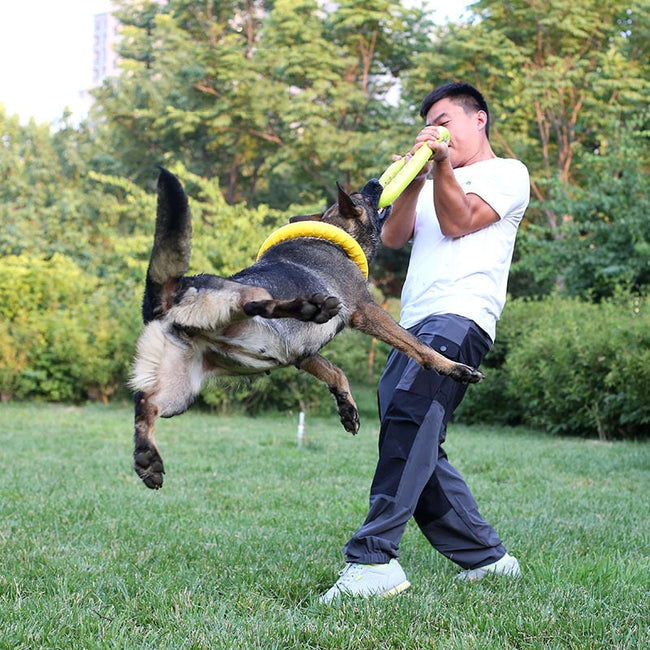 Dog Toys Pet Flying Discs EVA Dog Training Ring Puller Resistant Toys For Dogs Floating Puppy Bite Ring Toy Interactive BATACHARLY