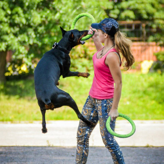Dog Toys Pet Flying Discs EVA Dog Training Ring Puller Resistant Toys For Dogs Floating Puppy Bite Ring Toy Interactive BATACHARLY