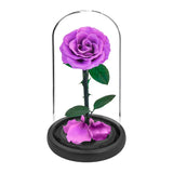Eternal Preserved Roses In Glass Dome 5 Flower Heads Rose Forever Love Wedding Favor Mothers Day Gifts for Women Girlfriends