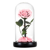 Eternal Preserved Roses In Glass Dome 5 Flower Heads Rose Forever Love Wedding Favor Mothers Day Gifts for Women Girlfriends