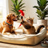 10 Essential Pet Care Tips: Keep Your Furry Friends Happy and Healthy