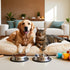 The Ultimate Guide to Pet Care: Tips for a Happy, Healthy, and Thriving Pet