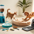 Top 10 Must-Have Pet Products Reviewed: Essential Items for Happy and Healthy Pets