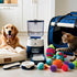 The Best Pet Accessories Reviewed: Top Picks for Comfort, Care, and Convenience