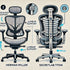 The Best Ergonomic Office Chair: Herman Miller vs. Secretlab Titan 2024 Review