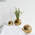 Enhance Your Home Decor with the Elegant Plating Golden Ball Ceramic Vase