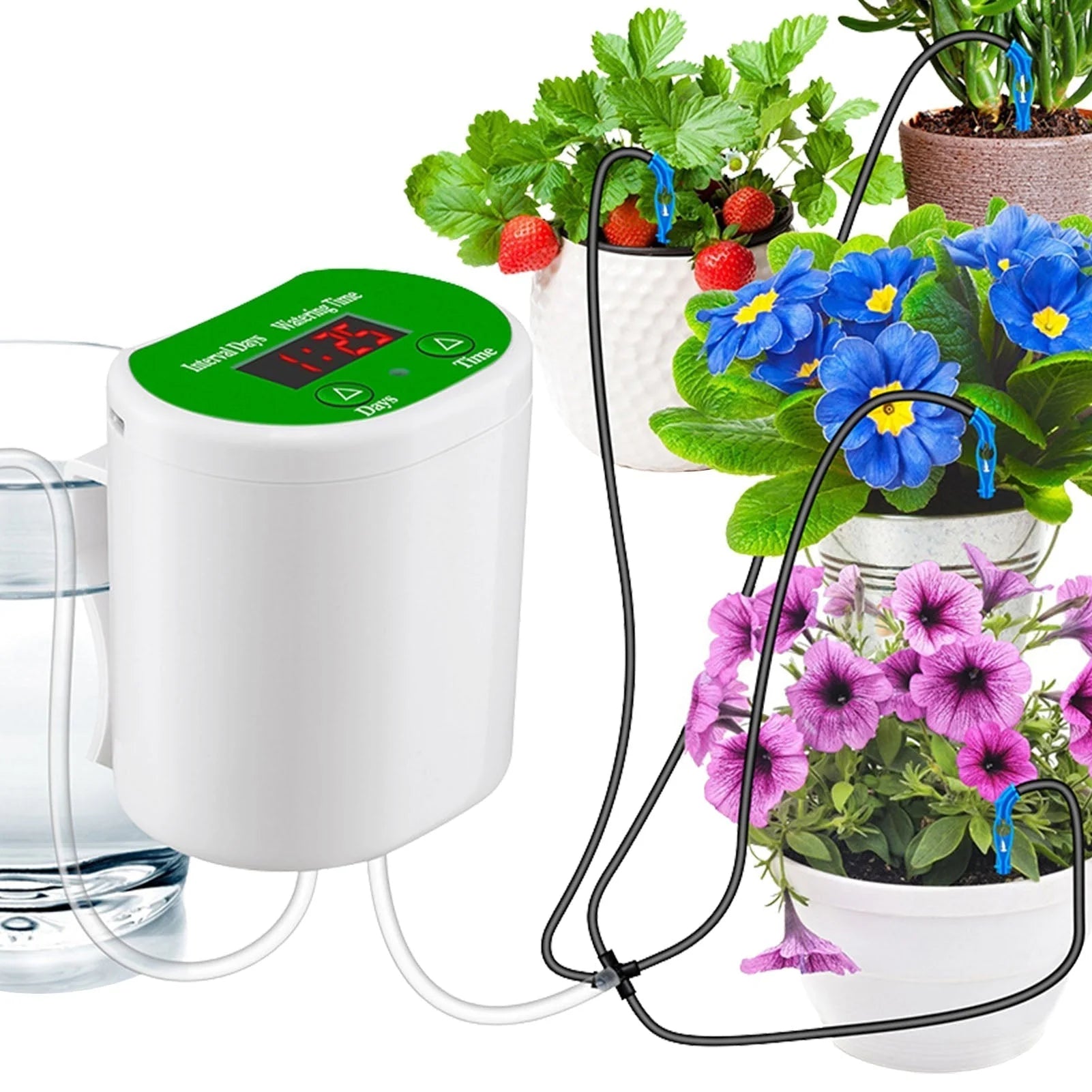 A Game-Changer for Plant Care: Adjustable Indoor Watering Timer Review