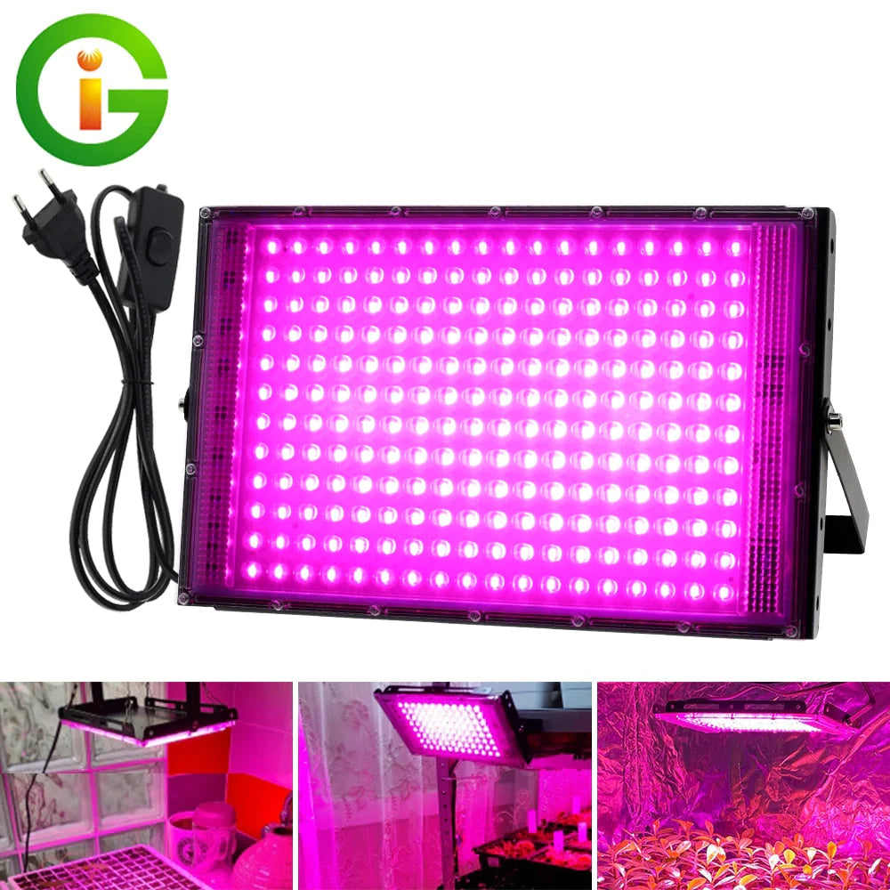 Illuminate Your Plant Paradise: A Comprehensive Review of the LED Grow Light Full Spectrum Phyto Lamp