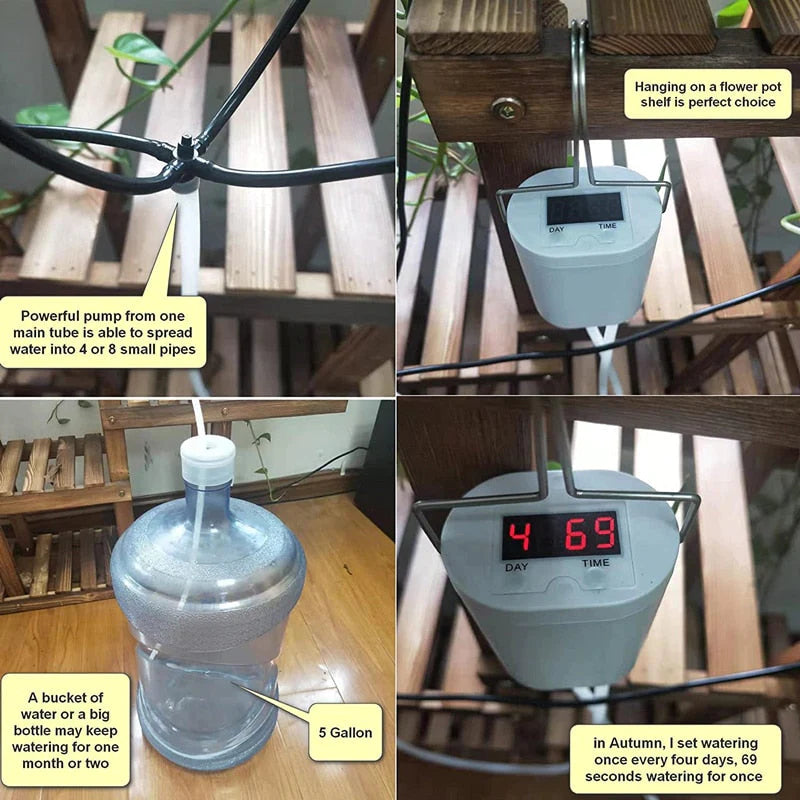 Effortless Plant Care: 2/4/8 Head Automatic Watering Pump Controller Review