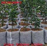 100pcs Garden Seeding Bags Nursery Plant Grow Bags Seed Pots Biodegradable Seeds Nursery Bag Plants Flower Pot For Garden Patio BATACHARLY