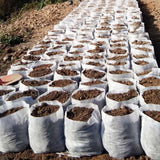 100pcs Garden Seeding Bags Nursery Plant Grow Bags Seed Pots Biodegradable Seeds Nursery Bag Plants Flower Pot For Garden Patio BATACHARLY