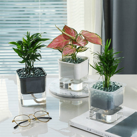 2 Layer Self Watering Planter Home Garden Office Plant Flower Pot With Water Container Automatic Watering Hydroponic Plant Pot BATACHARLY