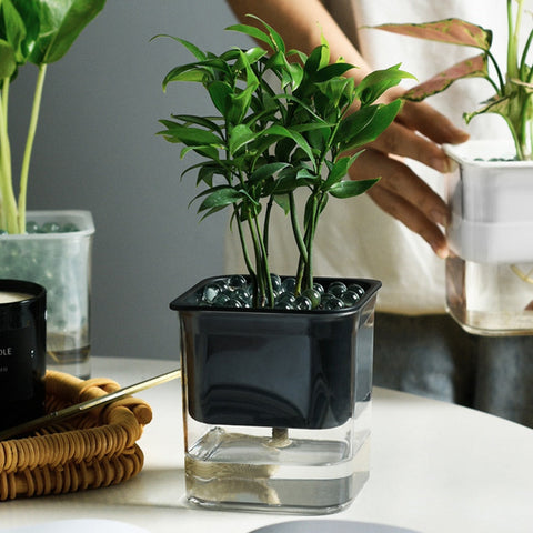 2 Layer Self Watering Planter Home Garden Office Plant Flower Pot With Water Container Automatic Watering Hydroponic Plant Pot BATACHARLY