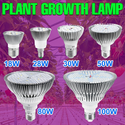 220V LED Grow Bulb Full Spectrum Plant Light E27 Phyto Lamp E14  Fitolamp For Greenhouse Hydroponic Flowers Seedlings Phytolamp BATACHARLY
