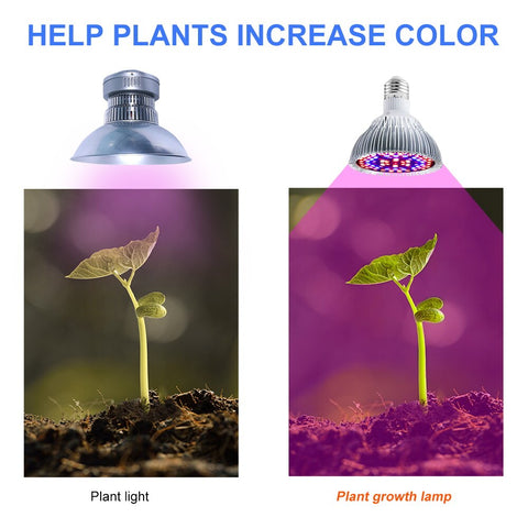220V LED Grow Bulb Full Spectrum Plant Light E27 Phyto Lamp E14  Fitolamp For Greenhouse Hydroponic Flowers Seedlings Phytolamp BATACHARLY