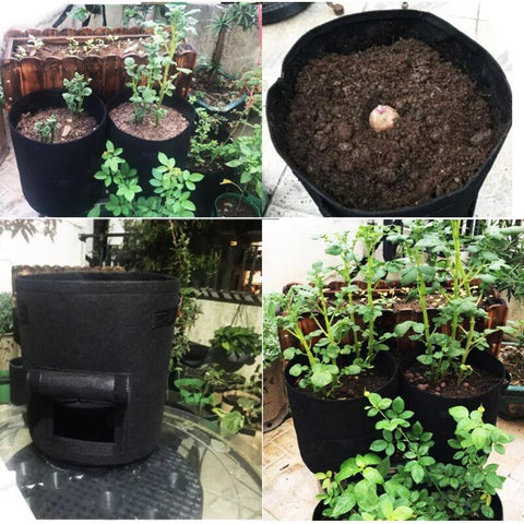 4/7/10/15 Gallon Potato Grow Bags Vegetable Plant Pot Home Garden Greenhouse Carrot Tomato Moisturizing Fabric Growing Planter BATACHARLY