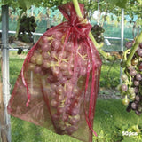 50pcs Grapes Apples Fruit Protection Bag Against Insect Anti Bird Garden Drawstring Net Bag Grow Bags Candy Gift Packaging Bag BATACHARLY