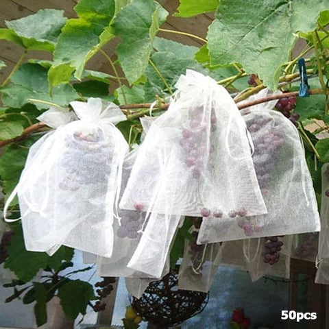 50pcs Grapes Apples Fruit Protection Bag Against Insect Anti Bird Garden Drawstring Net Bag Grow Bags Candy Gift Packaging Bag BATACHARLY