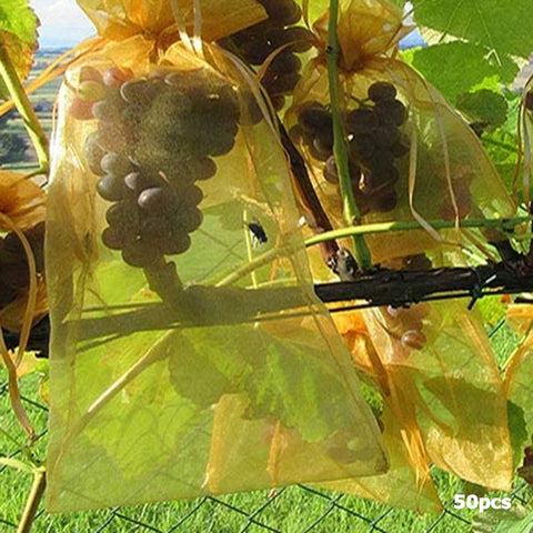 50pcs Grapes Apples Fruit Protection Bag Against Insect Anti Bird Garden Drawstring Net Bag Grow Bags Candy Gift Packaging Bag BATACHARLY