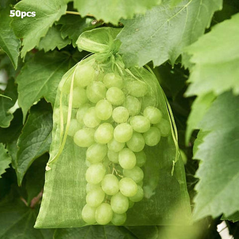 50pcs Grapes Apples Fruit Protection Bag Against Insect Anti Bird Garden Drawstring Net Bag Grow Bags Candy Gift Packaging Bag BATACHARLY