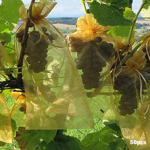 50pcs Grapes Apples Fruit Protection Bag Against Insect Anti Bird Garden Drawstring Net Bag Grow Bags Candy Gift Packaging Bag BATACHARLY