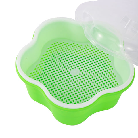 Bean Sprouts Growing Tray Seed Seedling Starter Dish Greenhouse Hydroponics Plant Cat Grass Germination Nursery Pot Grow Box BATACHARLY